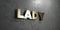Lady - Gold sign mounted on glossy marble wall - 3D rendered royalty free stock illustration