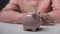 Lady hand putting wooden toy home in piggybank, mortgage, house construction