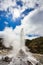 Lady Knox Geyser while Erupting in Wai-O-Tapu Geothermal Area, New Zealand