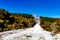 Lady Knox Geyser getting ready to explode and then exploding Rotarua New Zealand