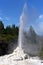 Lady Knox Geyser, New Zealand