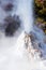 Lady Knox Geyser on the North Island in Wai-O-Tapu, Rotorua, New Zealand. With selective focus. Vertical