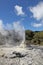 Lady Knox Geyser - Rotorua New Zealand