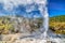 Lady Knox Geyser, Waiotapu Geothermal Valley, Rotorua, NZ