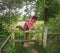 Lady Rambler climbing over a Stile