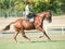 Lady Riding Side Saddle