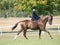 Lady Riding Side Saddle