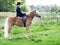 A lady riding side saddle