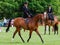 Lady riding side saddle