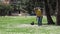 Lady runs with playful dachshund puppy on flowers lawn