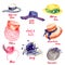 Lady`s hats types