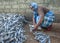 A lady sorting dried sardine fish in Sri Lanka.