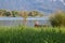 Lady with sun hat relaxes on a bench at am Kochelsee Bavaria Germany. In the background the lakeshore and the German Alps