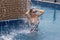 Lady at a swimming pool enjoying the fountain