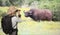 Lady Tourist on Safari Viewing a Cape Buffalo