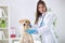 Lady veterinary examining the dog