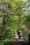 Lady walking on footpath in wood, sunny spring day