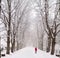 Lady walking in a snow covered boulevard