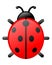 Ladybird