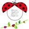 Ladybird baby shower greeting card with colorful ladybird