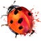 Ladybird beetle T-shirt graphics, ladybird illustration with splash watercolor textured background.