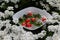 Ladybird candles and lucky clover in a bowl