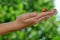 Ladybird on children\'s hands