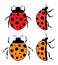 Ladybird flat symbols. vector