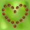 Ladybird heart