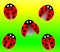 Ladybird pattern