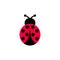 Ladybird vector cartoon icon. Ladybug symmetrical clipart cartoon.