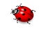 Ladybird. Vector illustration of ladybug on white