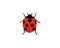 Ladybird on white background. Cute cartoon ladybug icon.