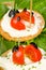 Ladybirds detail