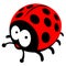 Ladybug