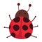 Ladybug animal insect cartoon isolated design white background