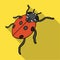 Ladybug is an arthropod.