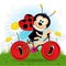 Ladybug on bike