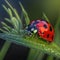 Ladybug on Blade of Grass, Made with Generative AI