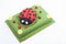 Ladybug cake