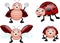 Ladybug cartoon set