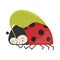 Ladybug Clipart in Cute Cartoon Style Beautiful Clip Art Ladybug Sleeps under a Leaf. Vector Illustration of an Animal