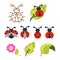 Ladybug clipart set with green leaves and outline bug.