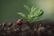 Ladybug crawling on green shoot, close-up insect life. Generative AI