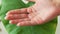 Ladybug crawling on a hand of female