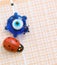 Ladybug,evil eye bead and optical exam paper, exam and luck