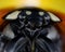 Ladybug extreme macro photo