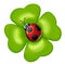 Ladybug with four-leaf clover in hand