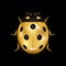 Ladybug gold insect small icon. Golden lady bug animal sign, isolated on black background. 3d volume design. Cute