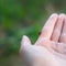 A ladybug on a hand, closeup, place for text